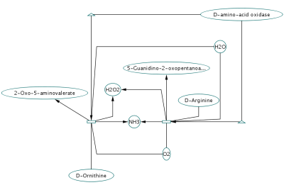 attachment:NodeShapeMapping.png