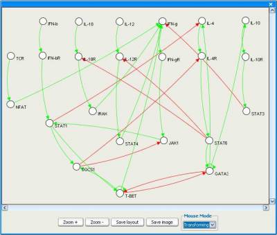 enfin:squad:graph_visualization.jpg