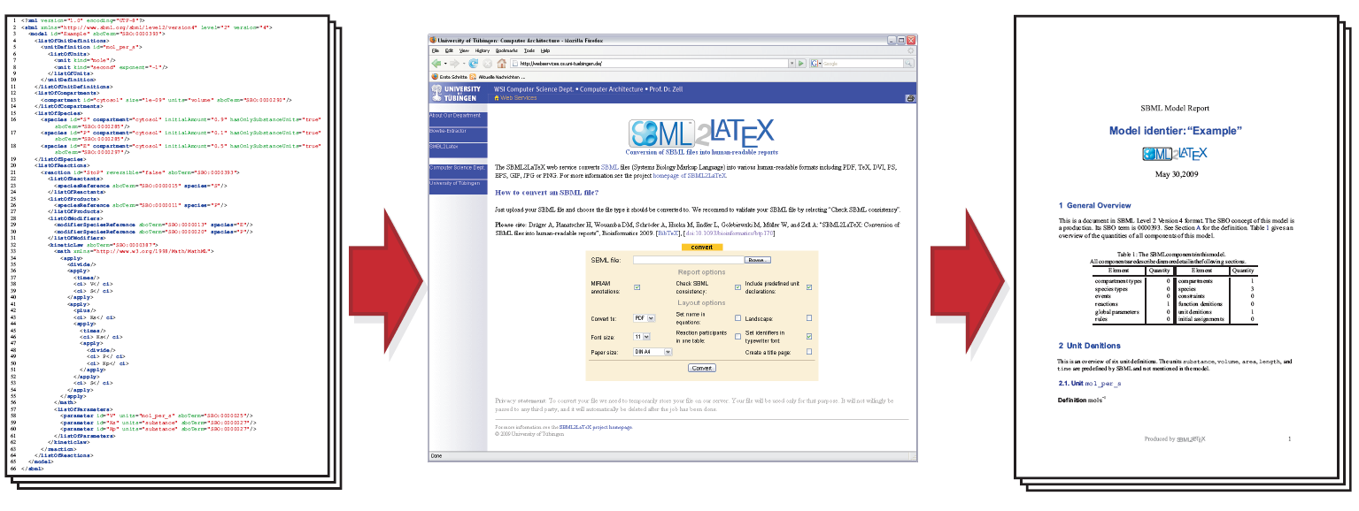 The online version of SBML2LaTeX